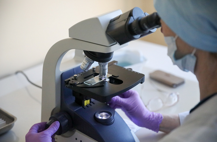 Роспотребнадзор: в Приморье есть тест-системы, способные определить коронавирус за 4 часа