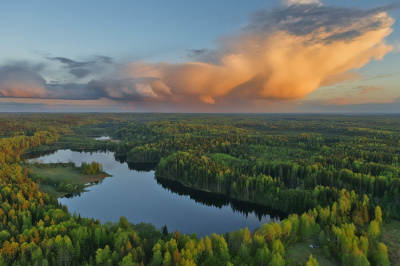 В Приморье стартует конкурс экологических проектов «Чистая страна – какой я её вижу»